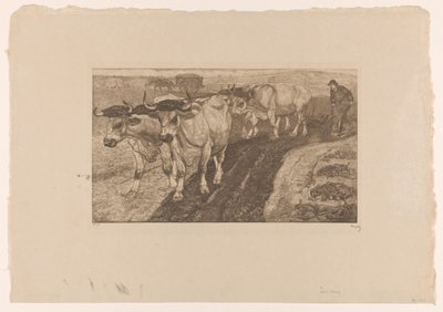 Quattro buoi che arano da Pieter Dupont (signed by artist)