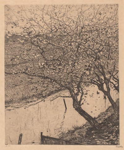 Alberi di mele lungo il lato di un fossato da Pieter Dupont