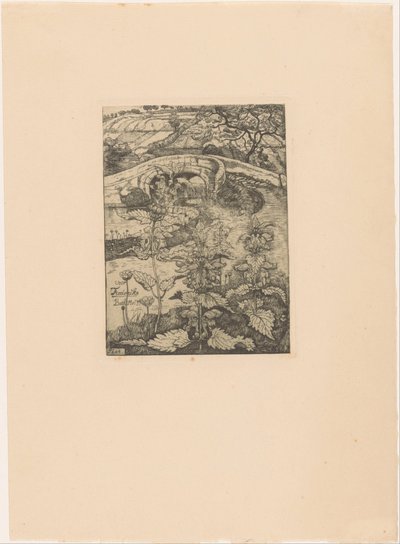 Paesaggio collinare con ponte a Bath da Pieter Dupont