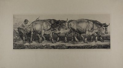 Buoi da aratura da Pieter Dupont