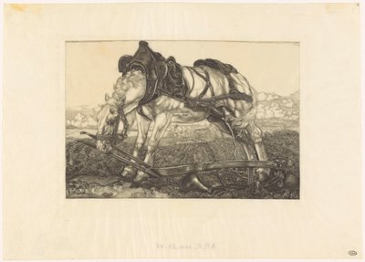 Cavallo da tiro a riposo da Pieter Dupont