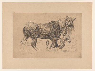 Foglio di studio con due cavalli da Pieter Dupont