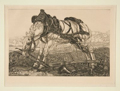 Cavallo da lavoro da Pieter Dupont