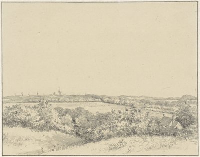 Vista di Haarlem, vista dalle dune da Pieter Ernst Hendrik Praetorius
