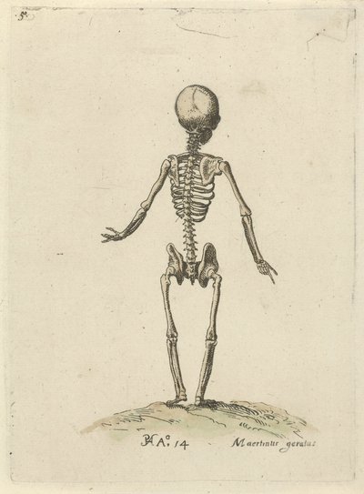 Scheletro, visto da dietro da Pieter Feddes van Harlingen