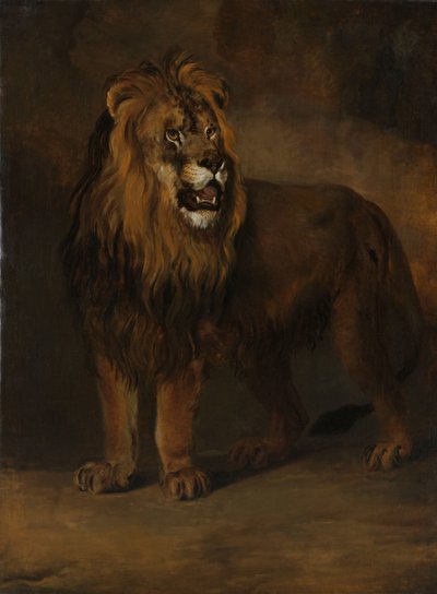 Un Leone dalla Menagerie di Re Luigi Napoleone, 1808 da Pieter Gerardus van Os