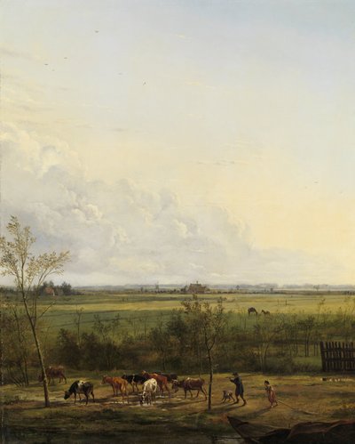 Vista lontana dei prati a 