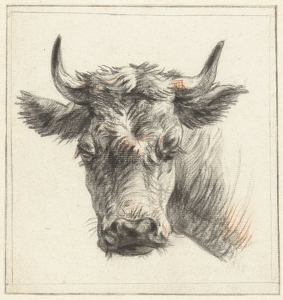 Testa di un bovino da Pieter Gerardus van Os