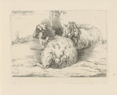 Pecore sdraiate da Pieter Gerardus van Os