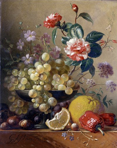 Natura morta di frutta, verdura e fiori da Pieter Gerardus van Os