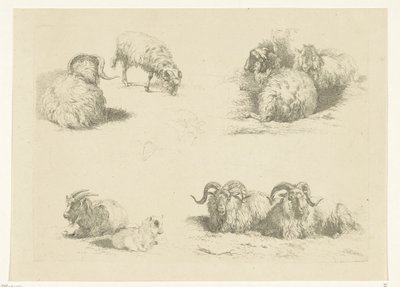 Quattro scene con pecore e capre da Pieter Gerardus van Os