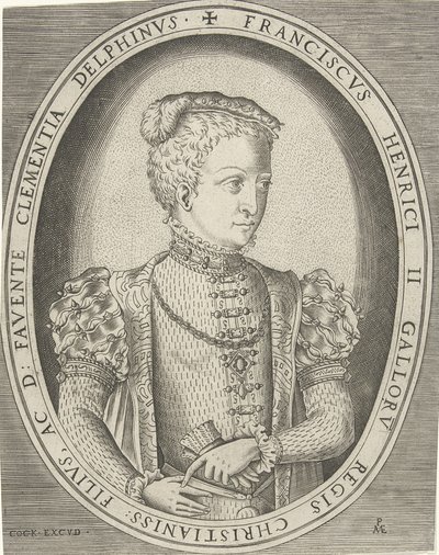 Ritratto di Francesco II di Francia, 1544-1560 da Pieter Heyden van der
