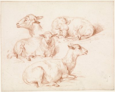 Foglio di studio con pecore da Pieter Jan Guise