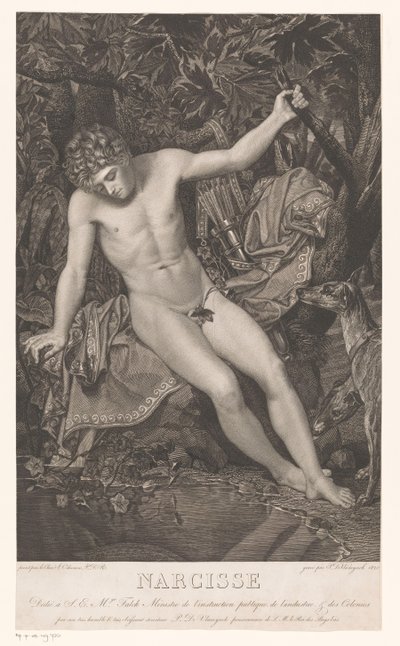 Narciso sulla riva dell