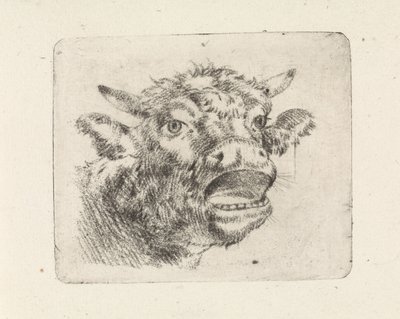 Testa di mucca, muggente da Pieter Janson