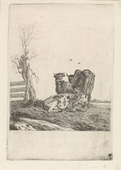 Paesaggio con tre mucche da Pieter Janson