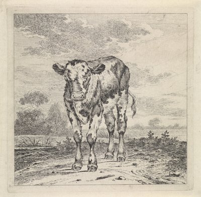 Paesaggio con vitello da Pieter Janson