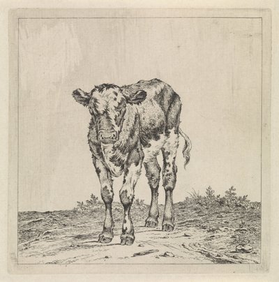 Paesaggio con vitello da Pieter Janson