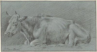 Mucca sdraiata da Pieter Janson