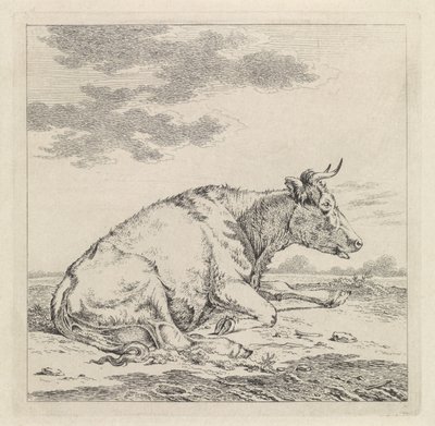 Mucca sdraiata, verso destra da Pieter Janson