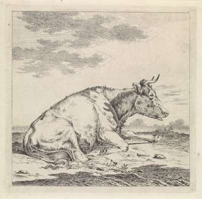 Mucca sdraiata, verso destra da Pieter Janson