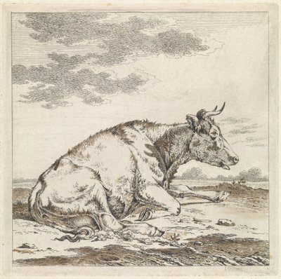 Mucca sdraiata, verso destra da Pieter Janson