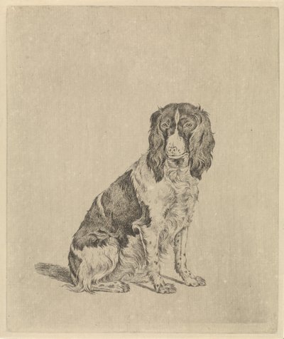 Cane da caccia seduto da Pieter Janson