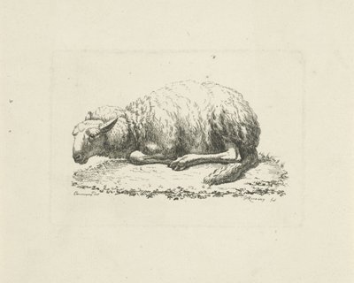 Pecora sdraiata da Pieter Roosing