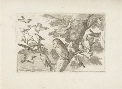 Gufo e altri uccelli su un albero da Pieter Schenk (I) (attributed to)