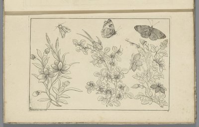 Tre rami di fiori e tre farfalle da Pieter Schenk (II)