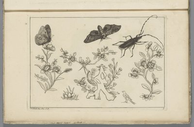 Tre rami di fiori con uccelli, farfalle e un insetto da Pieter Schenk (II)