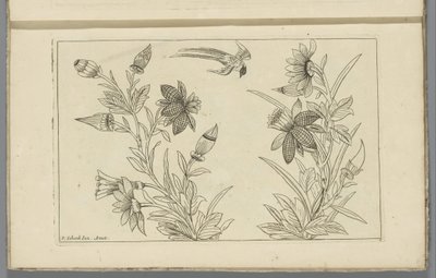 Due cespugli di fiori e una rondine da Pieter Schenk (II)