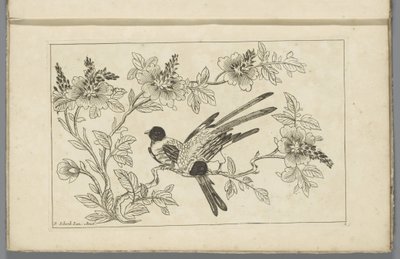 Due uccelli su un ramo fiorito
Fiori e uccelli cinesi (titolo della serie) da Pieter Schenk (II)