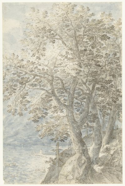 Alberi vicino a una parete rocciosa ripida da Pieter Stevens (I)