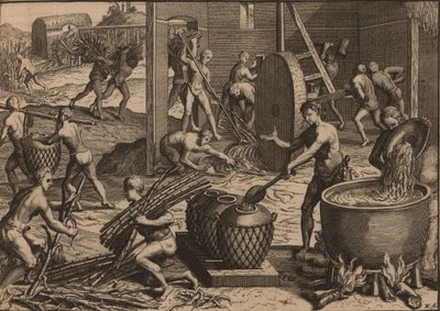 Gli schiavi lavorano la canna da zucchero e producono zucchero da Pieter Van der Aa