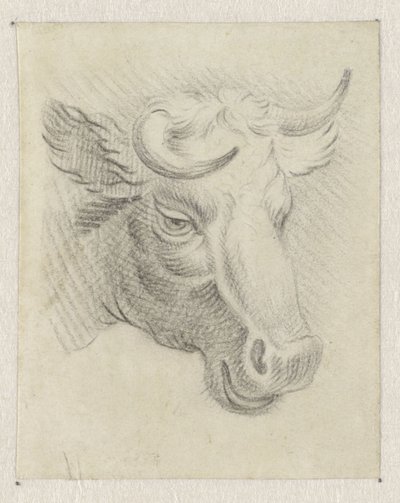Testa di una mucca da Pieter de Goeje