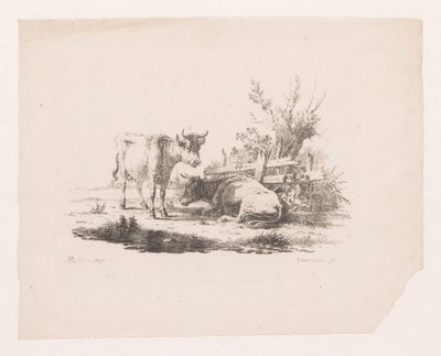 Due mucche vicino a una recinzione e un salice da Pieter de Goeje