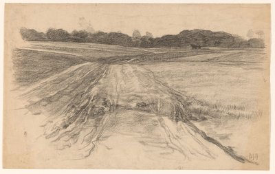 Strada di campagna attraverso il campo aperto da Pieter de Josselin