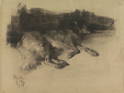 Cane sdraiato e addormentato da Pieter de Josselin