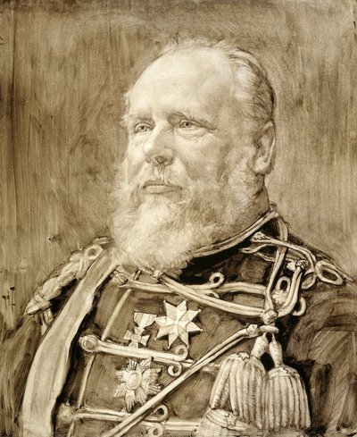 Ritratto di Guglielmo III, re dei Paesi Bassi da Pieter de Josselin