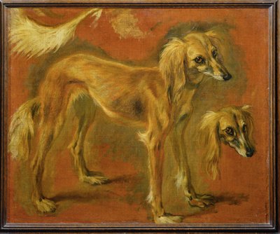 Un levriero (dipinto su tela) da Pieter or Peter Boel