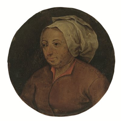 Testa di una donna da Pieter the Younger Brueghel
