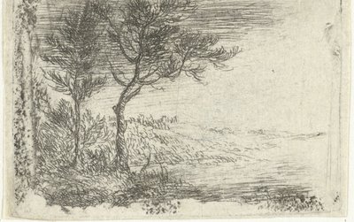 Tedesco: Paesaggio con due alberi da Pieter van Laer