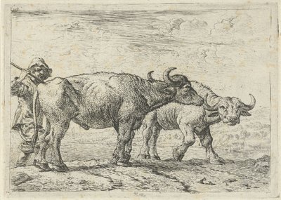 Due bufali e un mandriano da Pieter van Laer