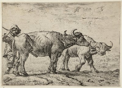 Due bufali e un mandriano da Pieter van Laer