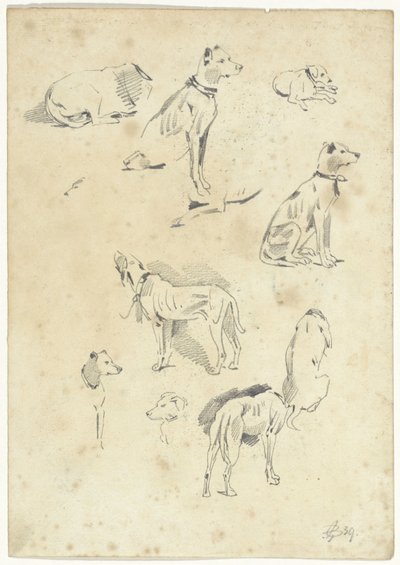 Studi di cani da Pieter van Loon