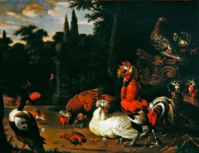 Un gallo, galline, pulcini e anatre in un giardino da Pieter van Mase