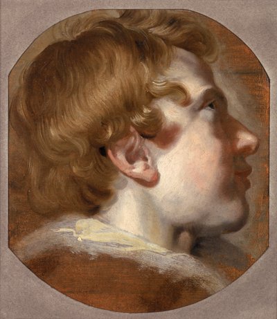 Testa di un ragazzo giovane, c.1620 da Pieter van Mol