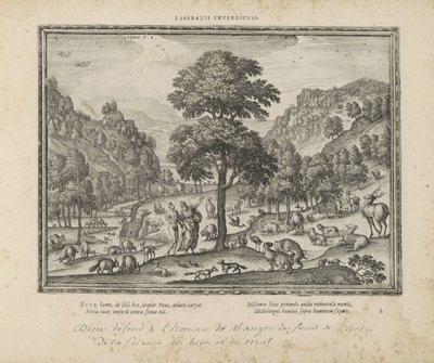 Dio mostra ad Adamo il paradiso da Pieter van der Borcht (I)