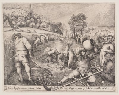 Cicalino da Pieter van der Heyden
